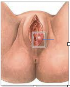 Screenshot 2023-04-06 at 7.06.53 PM