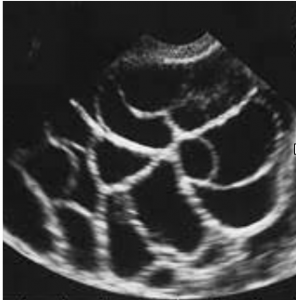 Screenshot 2023-04-06 at 7.10.31 PM