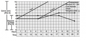 Screenshot 2023-04-06 at 7.17.33 PM