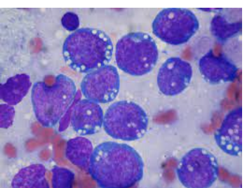 Screenshot 2023-04-06 at 7.21.08 PM