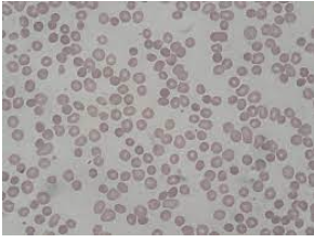 Screenshot 2023-04-06 at 7.24.09 PM