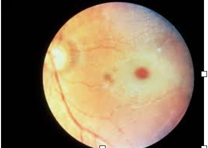 Screenshot 2023-04-06 at 7.29.48 PM